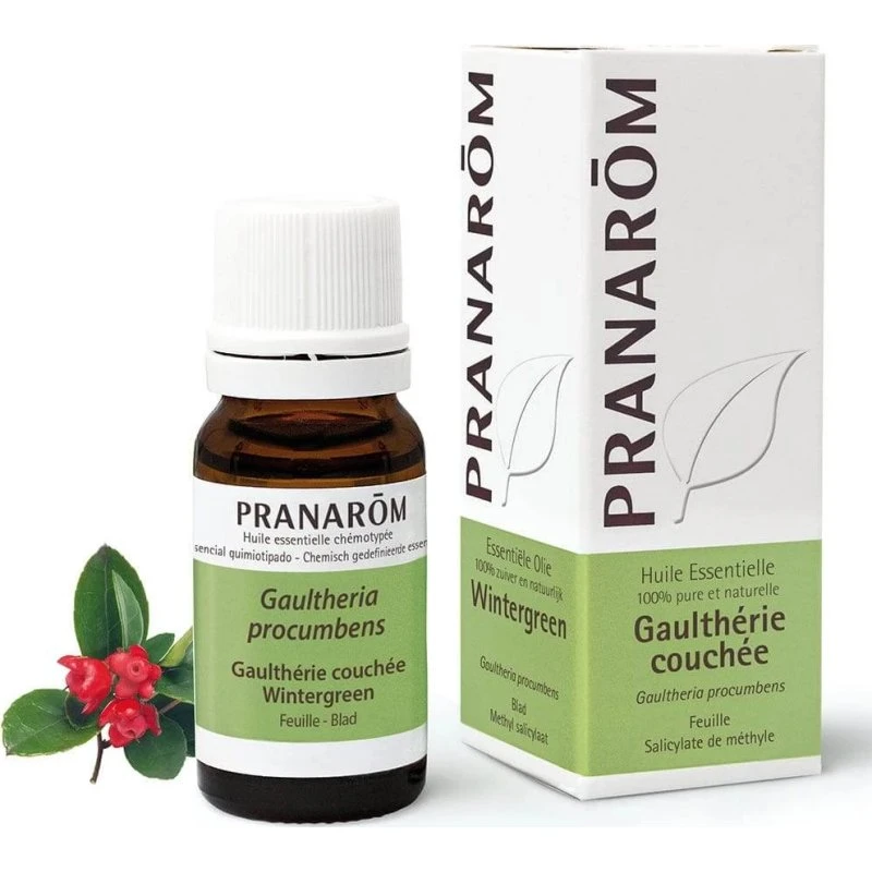 Pranarôm Ätherisches Öl Wintergrün (Gaultheria procumbens) 10ml