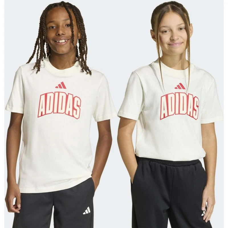 adidas T-Shirt Stadium Lettering für Basketball-Enthusiasten