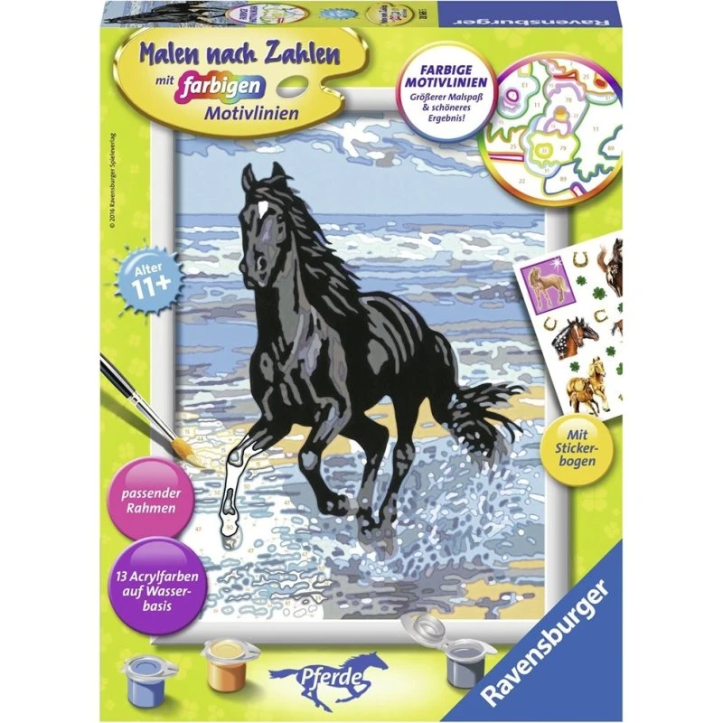 CreArt Malen nach Zahlen Pferd am Strand - Set mit 13 Acrylfarben