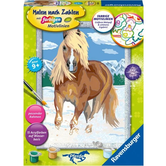 CreArt Malen nach Zahlen: Haflinger im Schnee für Kinder ab 9 Jahren