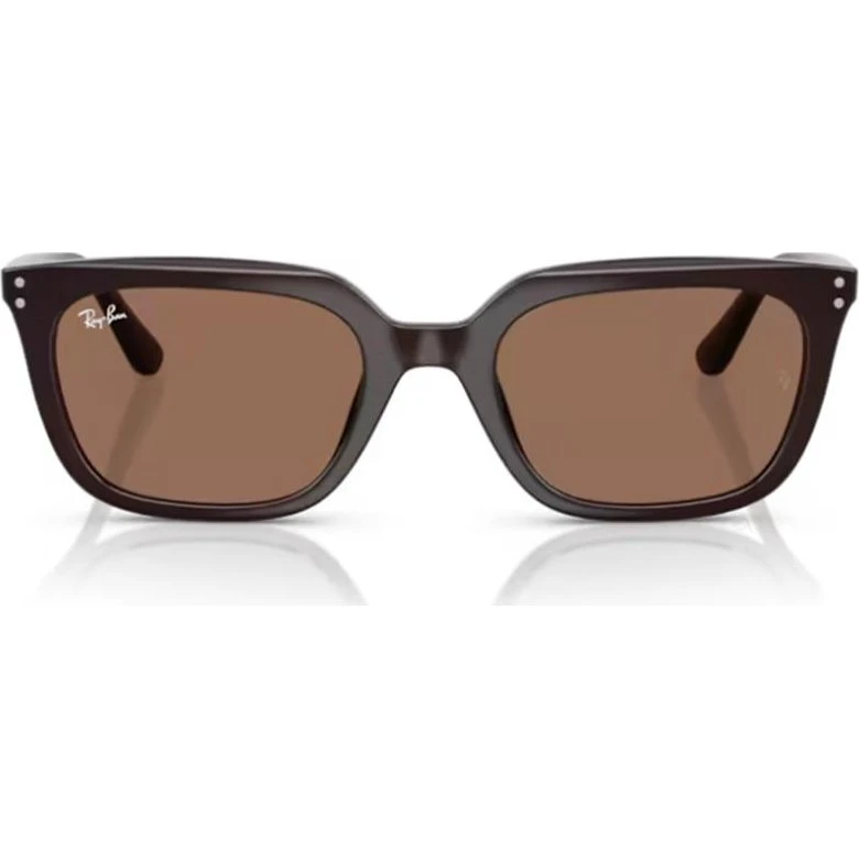 Ray-Ban RB4439D 623173 Sonnenbrille Unisex - Braun Quadratisch