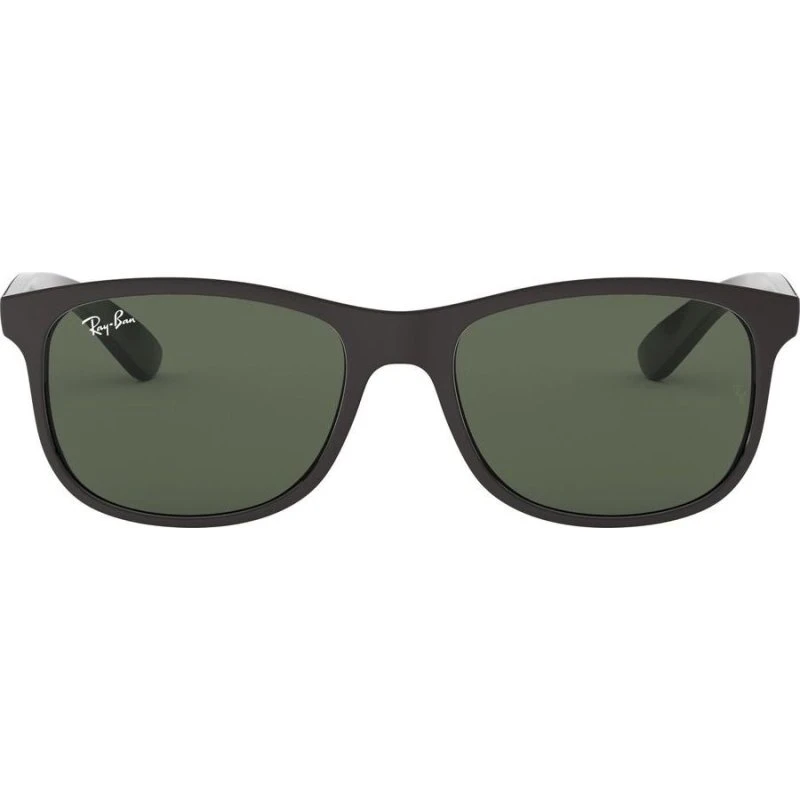 Ray-Ban Andy RB 4202 Sonnenbrille Unisex Schwarz 55mm