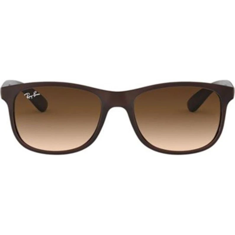 Ray-Ban Andy RB 4202 Sonnenbrille - Braun Matt, 55mm
