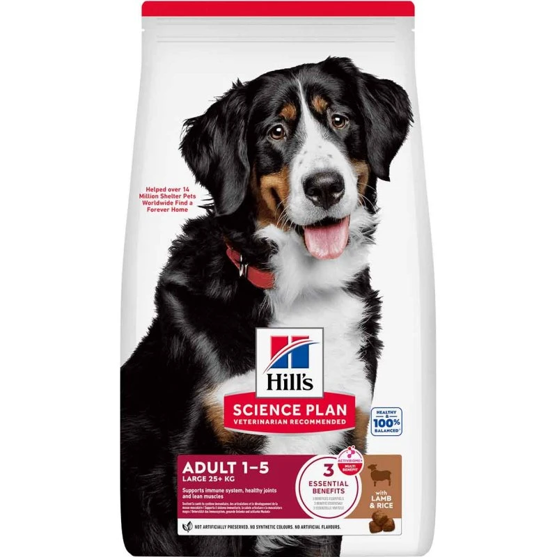 Hill's Science Plan Large Breed Adult Lamm & Reis 14 kg