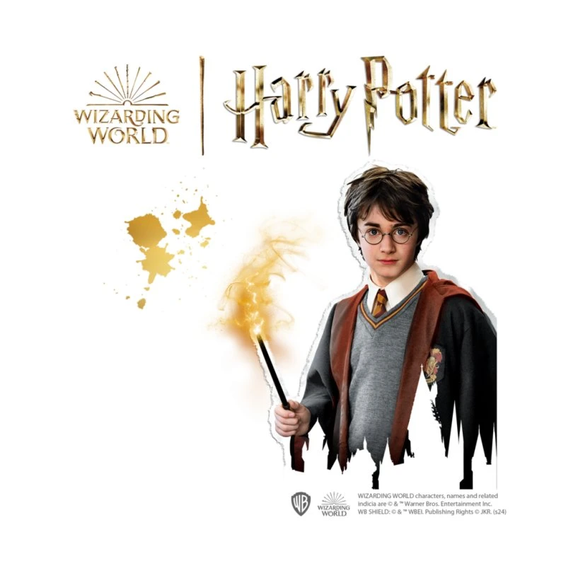 SES Creative Harry Potter Steine zum Bemalen 09341