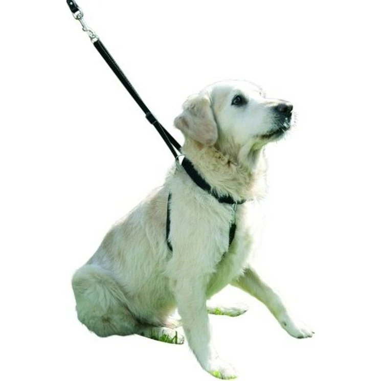 Kerbl Erziehungsgeschirr MAXI LEADER 3 schwarz