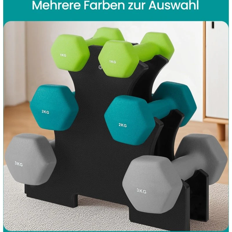 SONGMICS Kurzhantel-Set 1-3 kg, 6 Stück, Grau/Blau/Grün