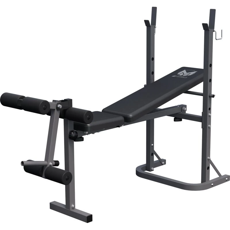 GYRONETICS E-Series Multifunktionsbank mit Beincurler