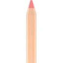 SANTE Soft Mineral Lipliner 01 Gentle Rose