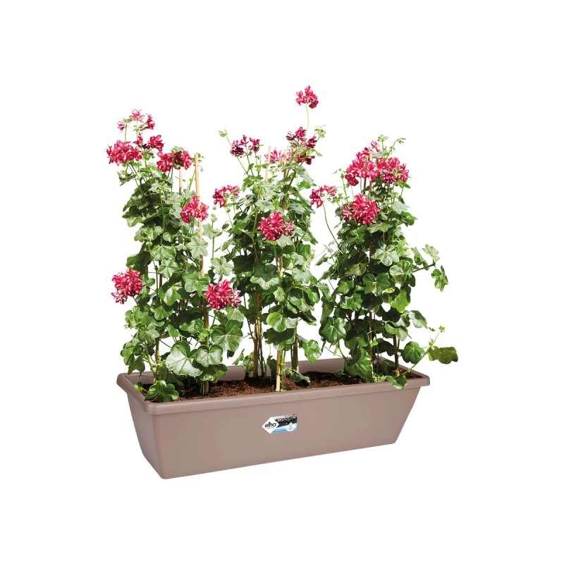 Elho Pflanzer Barcelona XL 60 cm Taupe