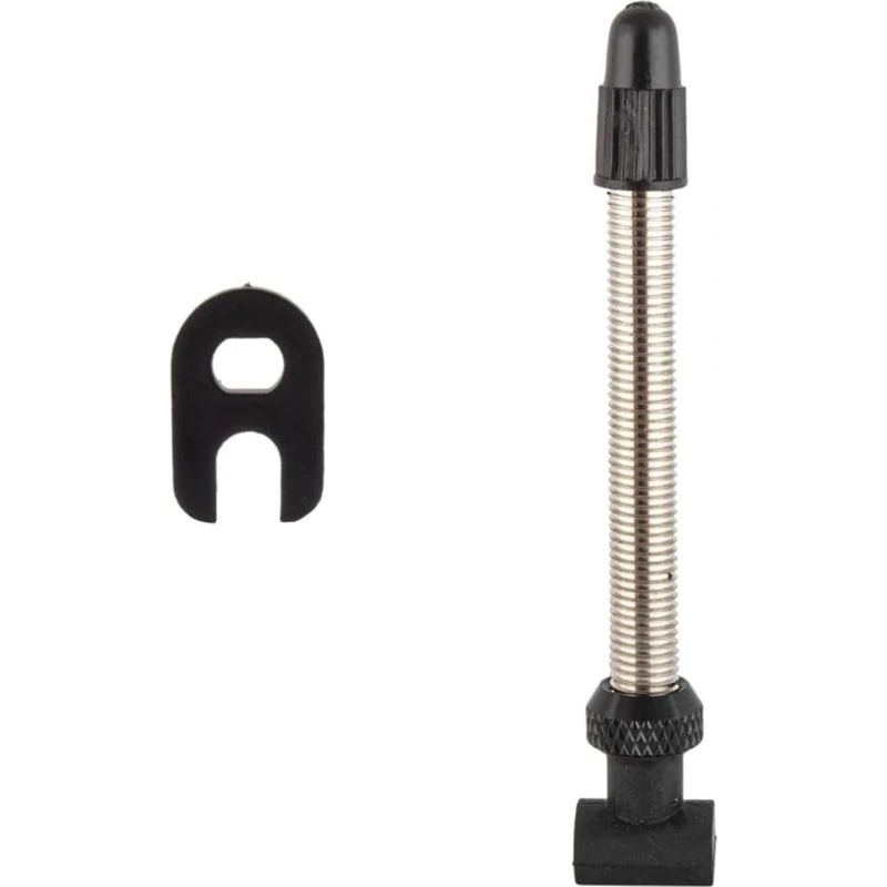 DT Swiss Tubeless-Ventil Road silber 53 mm