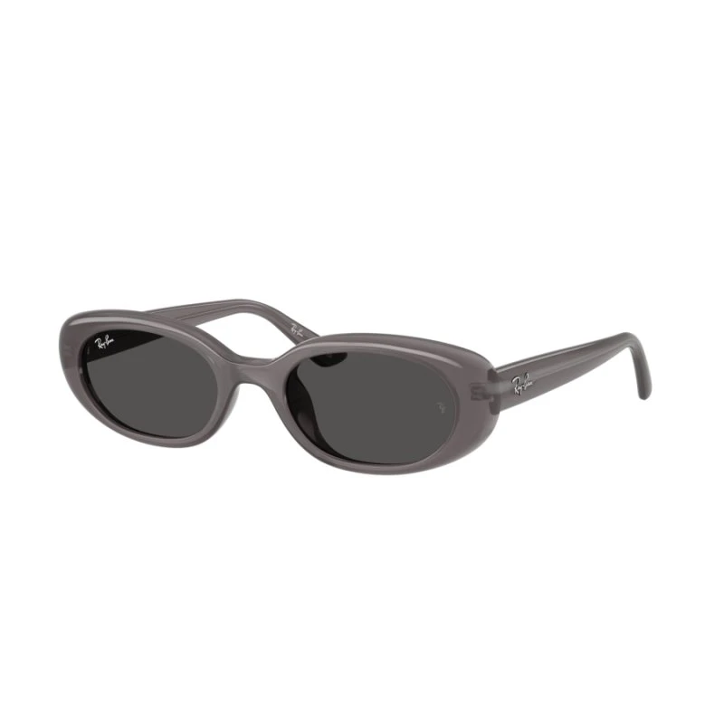 Ray-Ban RB 4441D 677787 Grau Retro-Sonnenbrille