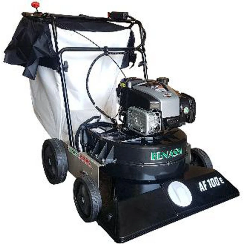 Benassi AF 100 Laubsauger 163 cc B&S 675 EXi