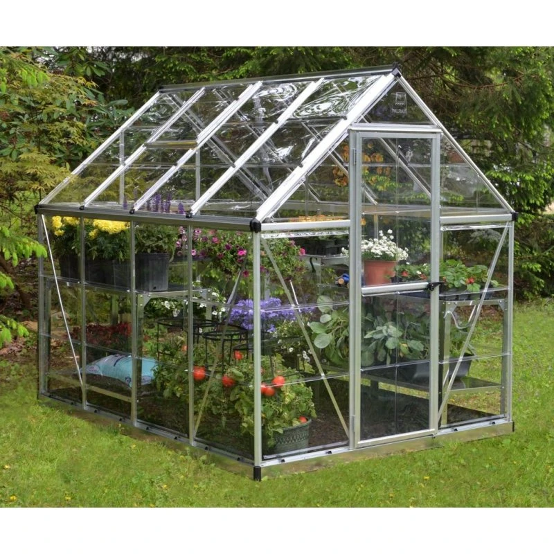 Palram Canopia Harmony Gewächshaus 247x185x208 cm silber