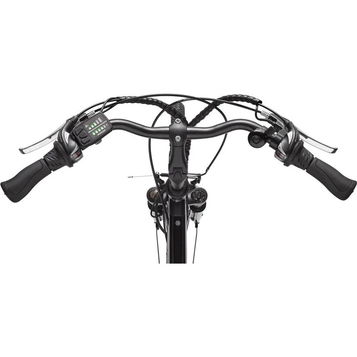 Telefunken Expedition XT480 E-Bike 21-Gang Shimano, 250W Hinterrad-Motor, 36V 10Ah Akku, Anthrazit