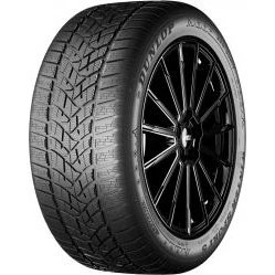 Dunlop Winter Sport 5 195/65 R15 91H