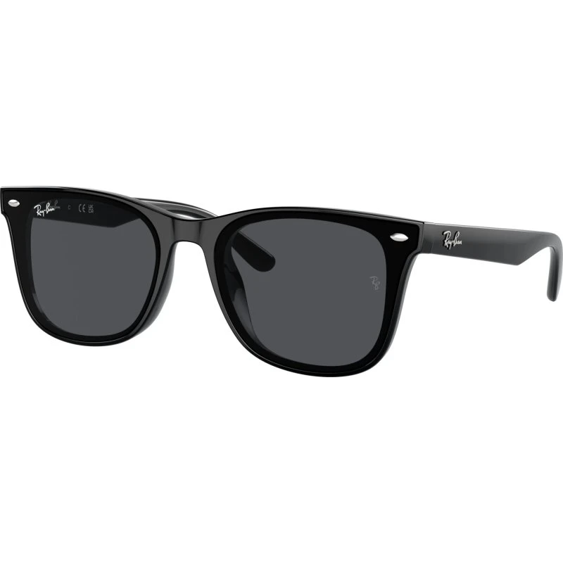 Ray-Ban RB4420 601/9A Polarisiert Schwarz
