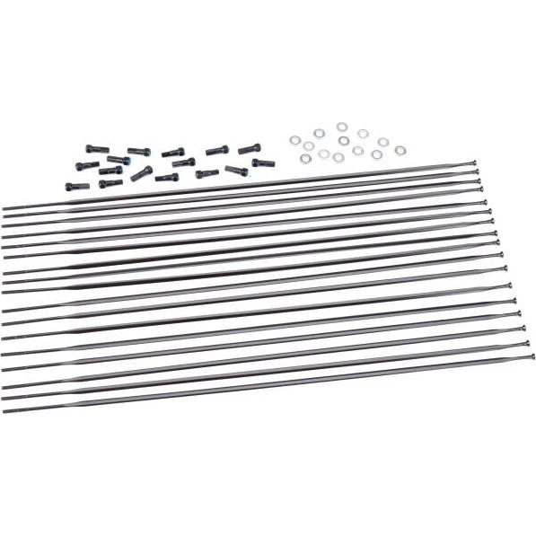 Mavic Cosmic Pro Carbon Exalith Speiche Hinterrad links 301 mm