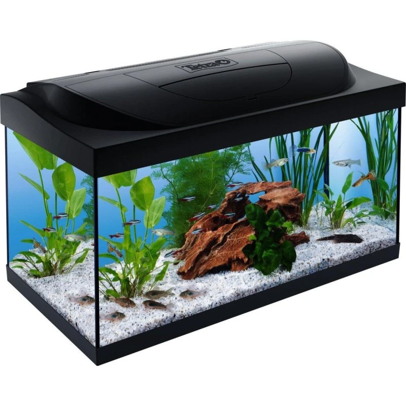 Tetra Kleine Forscher 54 L LED Aquarium-Set schwarz