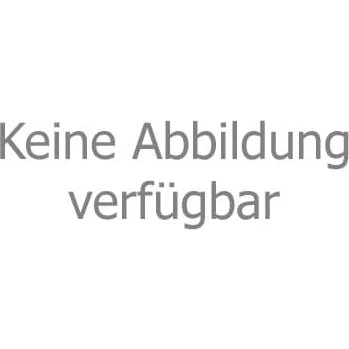 Thule VeloTrack Montageschienen für E-Bike-Fahrradträger
