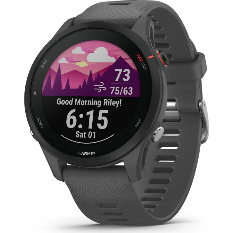 Garmin Forerunner 255 Basic Slate Grey
