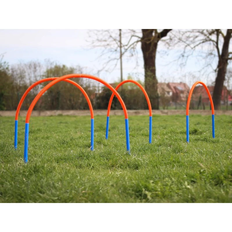 PROCYON Hoopers Bogen Set aus Kunststoff mit Erdspießen