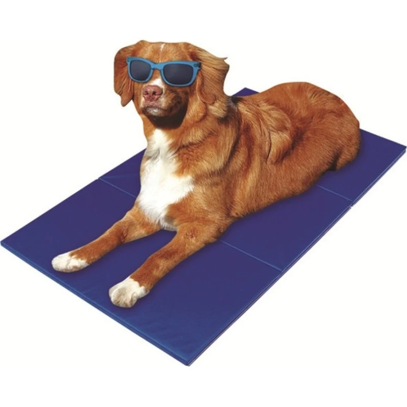 CoolPaw Selbstkühlende Matte 40x50 cm für Hund & Katze