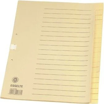 Esselte Register blanko A4 20 Blatt chamois 621006