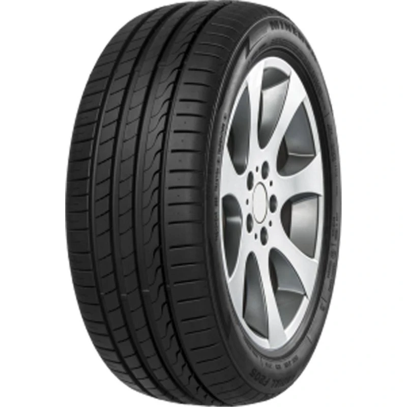 Minerva F205 225/45 ZR19 96Y XL Reifen