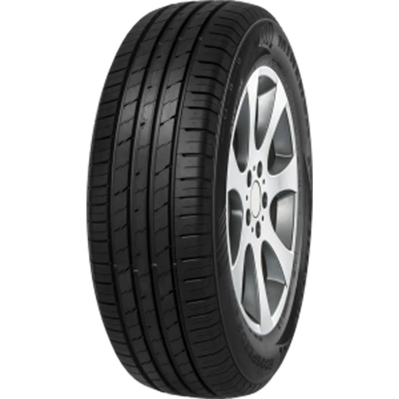 Minerva Ecospeed2 SUV XL 255/40 R21 102Y