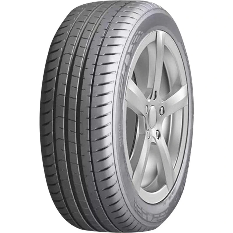 Doublestar Maximum DH03 165/65 R14 83T XL BSW