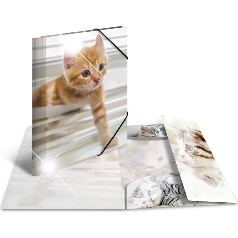 HERMA Eckspannermappe Katzen, DIN A4, PP Glossy