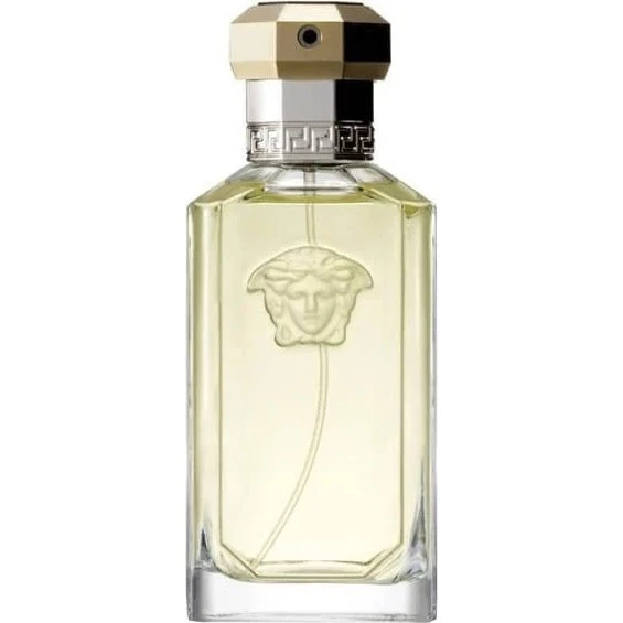 Versace The Dreamer Eau de Toilette 100 ml