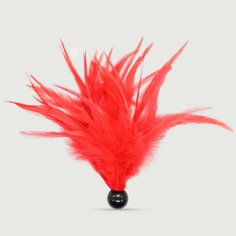 Kleiner roter Federkitzler mit schwarzem Sockel